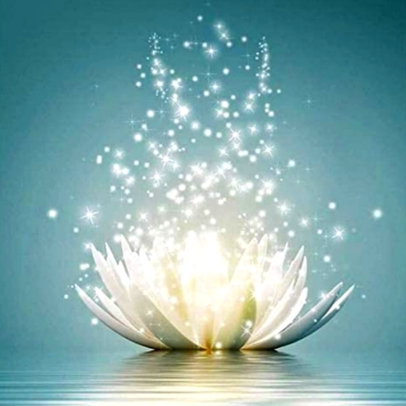 Meet Your Posher, Ambassador 💫 - Picture 1 of 1